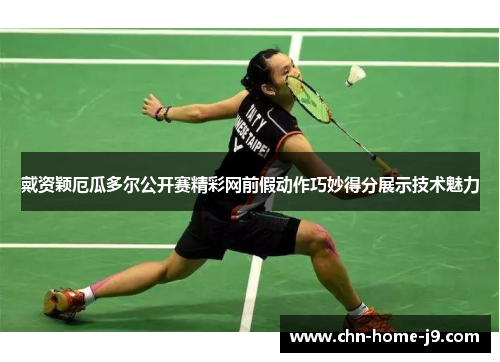 戴资颖厄瓜多尔公开赛精彩网前假动作巧妙得分展示技术魅力