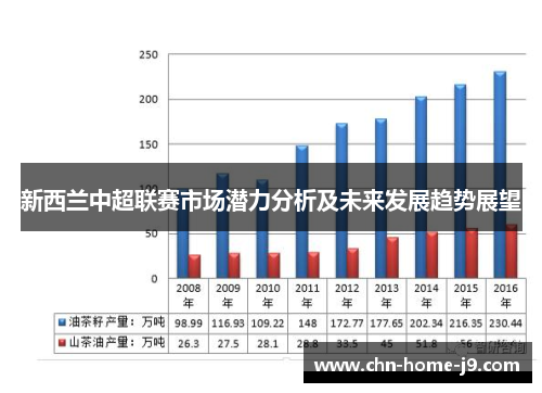 新西兰中超联赛市场潜力分析及未来发展趋势展望 新西兰中超联赛市场潜力分析及未来发展趋势展望