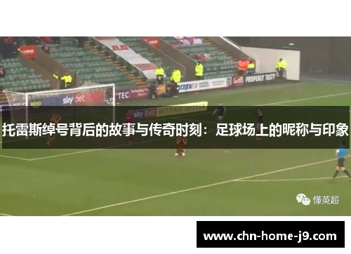 托雷斯绰号背后的故事与传奇时刻：足球场上的昵称与印象