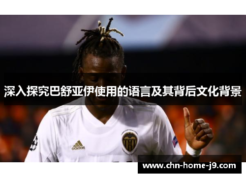 深入探究巴舒亚伊使用的语言及其背后文化背景