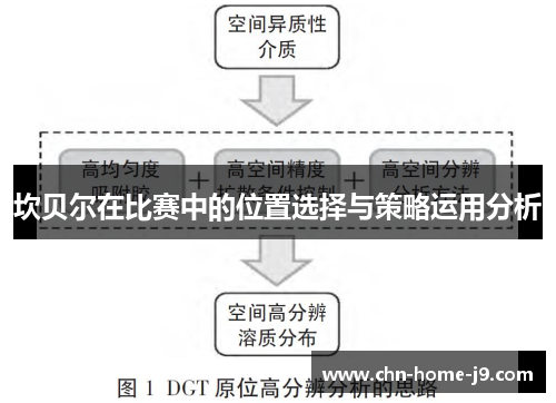 坎贝尔在比赛中的位置选择与策略运用分析 坎贝尔在比赛中的位置选择与策略运用分析
