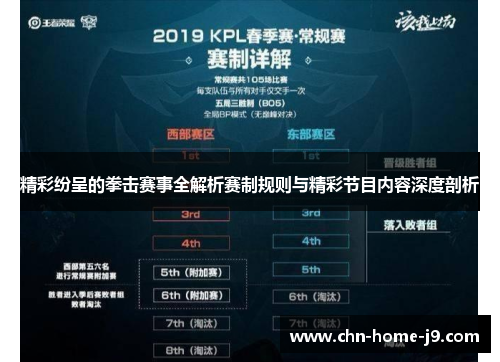 精彩纷呈的拳击赛事全解析赛制规则与精彩节目内容深度剖析 精彩纷呈的拳击赛事全解析赛制规则与精彩节目内容深度剖析