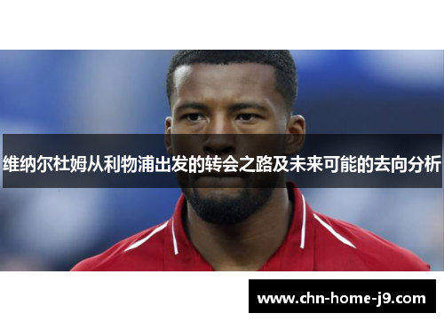 维纳尔杜姆从利物浦出发的转会之路及未来可能的去向分析