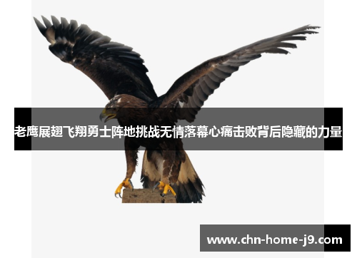 老鹰展翅飞翔勇士阵地挑战无情落幕心痛击败背后隐藏的力量 老鹰展翅飞翔勇士阵地挑战无情落幕心痛击败背后隐藏的力量