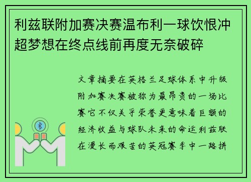 利兹联附加赛决赛温布利一球饮恨冲超梦想在终点线前再度无奈破碎